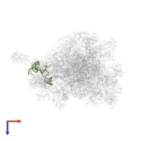 CP tRNAPhe, mitochondrial in PDB entry 6gb2, assembly 1, top view.