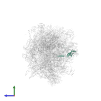 Large ribosomal subunit protein bL21m in PDB entry 6gb2, assembly 1, side view.