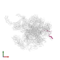 39S ribosomal protein L41, mitochondrial in PDB entry 6gb2, assembly 1, front view.