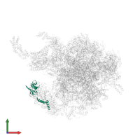 Large ribosomal subunit protein mL46 in PDB entry 6gb2, assembly 1, front view.