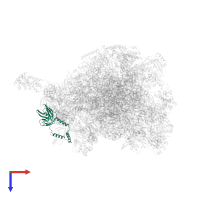 Large ribosomal subunit protein mL46 in PDB entry 6gb2, assembly 1, top view.