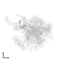 Mitochondrial ribosomal protein S18A in PDB entry 6gb2, assembly 1, front view.