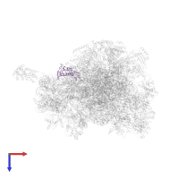 Mitochondrial ribosomal protein S18A in PDB entry 6gb2, assembly 1, top view.