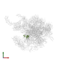 Large ribosomal subunit protein uL30m in PDB entry 6gb2, assembly 1, front view.