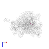 SPERMINE in PDB entry 6gb2, assembly 1, top view.