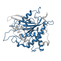 The deposited structure of PDB entry 6gbx contains 3 copies of Pfam domain PF04389 (Peptidase family M28) in Glutaminyl-peptide cyclotransferase. Showing 1 copy in chain A.