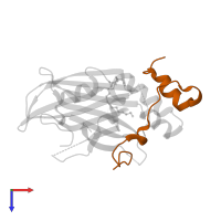 Transcriptional coactivator YAP1 in PDB entry 6gec, assembly 1, top view.