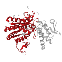 The deposited structure of PDB entry 6gpk contains 4 copies of CATH domain 3.40.50.720 (Rossmann fold) in GDP-mannose 4,6 dehydratase. Showing 1 copy in chain A.