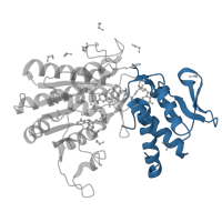 The deposited structure of PDB entry 6gpk contains 4 copies of CATH domain 3.90.25.10 (UDP-galactose 4-epimerase; domain 1) in GDP-mannose 4,6 dehydratase. Showing 1 copy in chain A.