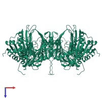 Homo tetrameric assembly 1 of PDB entry 6gpn coloured by chemically distinct molecules, top view.