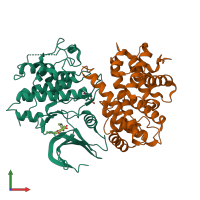 Hetero dimeric assembly 2 of PDB entry 6gub coloured by chemically distinct molecules, front view.