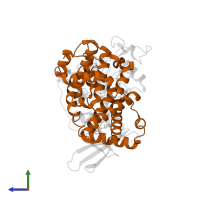 Cyclin-A2 in PDB entry 6gub, assembly 1, side view.