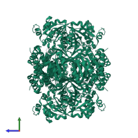 Aldehyde dehydrogenase domain-containing protein in PDB entry 6gvs, assembly 1, side view.