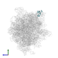 Large ribosomal subunit protein uL18 in PDB entry 6gxm, assembly 1, side view.