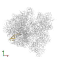 Large ribosomal subunit protein uL22 in PDB entry 6gxm, assembly 1, front view.