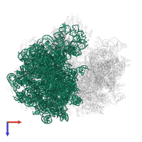 23S ribosomal RNA in PDB entry 6gxm, assembly 1, top view.