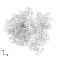 Large ribosomal subunit protein bL25 in PDB entry 6gxm, assembly 1, front view.