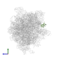 Large ribosomal subunit protein bL25 in PDB entry 6gxm, assembly 1, side view.