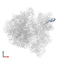 Small ribosomal subunit protein uS10 in PDB entry 6gxm, assembly 1, front view.