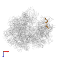 Small ribosomal subunit protein uS14 in PDB entry 6gxm, assembly 1, top view.