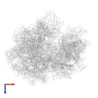 Small ribosomal subunit protein bS21 in PDB entry 6gxm, assembly 1, top view.