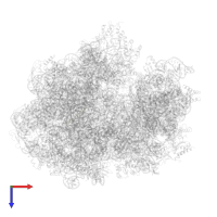 Apidaecin in PDB entry 6gxm, assembly 1, top view.