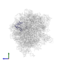 Large ribosomal subunit protein uL2 in PDB entry 6gxo, assembly 1, side view.