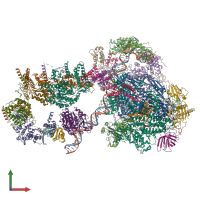 PDB entry 6gym coloured by chain, front view.