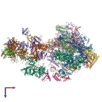 PDB entry 6gym coloured by chain, top view.