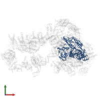 DNA-directed RNA polymerase II subunit RPB2 in PDB entry 6gym, assembly 1, front view.