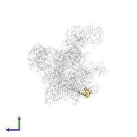 General transcription and DNA repair factor IIH subunit TFB5 in PDB entry 6gym, assembly 1, side view.