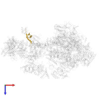 General transcription and DNA repair factor IIH subunit TFB5 in PDB entry 6gym, assembly 1, top view.