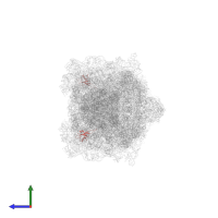 Large ribosomal subunit protein uL23 in PDB entry 6gzx, assembly 1, side view.