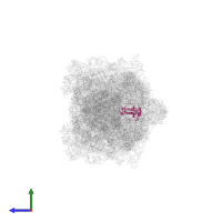 Small ribosomal subunit protein uS7 in PDB entry 6gzx, assembly 1, side view.