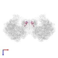 Small ribosomal subunit protein uS7 in PDB entry 6gzx, assembly 1, top view.