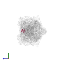 Small ribosomal subunit protein uS15 in PDB entry 6gzx, assembly 1, side view.