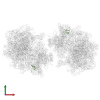 Small ribosomal subunit protein bS16 in PDB entry 6gzx, assembly 1, front view.