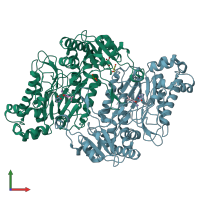 PDB entry 6h2q coloured by chain, front view.
