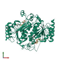 Homo dimeric assembly 3 of PDB entry 6h78 coloured by chemically distinct molecules, front view.