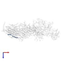 Unknown polypeptide in PDB entry 6h8k, assembly 1, top view.