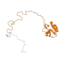 The deposited structure of PDB entry 6ha1 contains 1 copy of Pfam domain PF00828 (Ribosomal proteins 50S-L15, 50S-L18e, 60S-L27A) in Large ribosomal subunit protein uL15. Showing 1 copy in chain J [auth L].