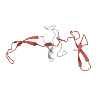 The deposited structure of PDB entry 6ha1 contains 1 copy of Pfam domain PF17136 (Ribosomal proteins 50S L24/mitochondrial 39S L24) in Large ribosomal subunit protein uL24. Showing 1 copy in chain S [auth U].