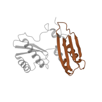 The deposited structure of PDB entry 6ha1 contains 1 copy of Pfam domain PF00189 (Ribosomal protein S3, C-terminal domain) in Small ribosomal subunit protein uS3. Showing 1 copy in chain GA [auth c].