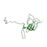 The deposited structure of PDB entry 6ha1 contains 1 copy of Pfam domain PF00164 (Ribosomal protein S12/S23) in Small ribosomal subunit protein uS12. Showing 1 copy in chain PA [auth l].