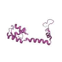 The deposited structure of PDB entry 6ha1 contains 1 copy of Pfam domain PF00416 (Ribosomal protein S13/S18) in Small ribosomal subunit protein uS13. Showing 1 copy in chain QA [auth m].