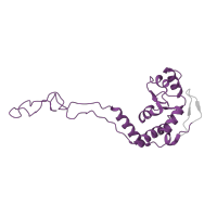 The deposited structure of PDB entry 6ha1 contains 1 copy of Pfam domain PF00573 (Ribosomal protein L4/L1 family) in Large ribosomal subunit protein uL4. Showing 1 copy in chain E.