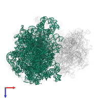 23S ribosomal RNA in PDB entry 6ha1, assembly 1, top view.