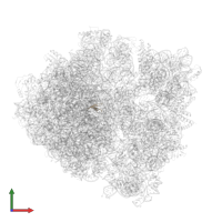 Large ribosomal subunit protein bL36 in PDB entry 6ha1, assembly 1, front view.
