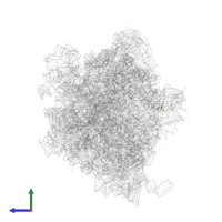 Large ribosomal subunit protein bL36 in PDB entry 6ha1, assembly 1, side view.