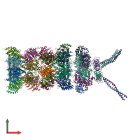 PDB entry 6hed coloured by chain, front view.